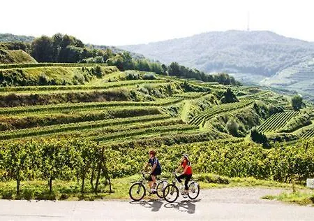 Frank - Bis Zu 3 Schlafzimmer Apartment Rust