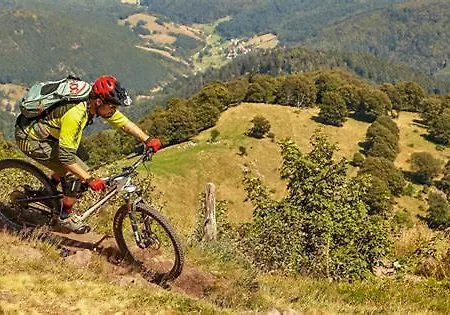 Διαμέρισμα Frank - Bis Zu 3 Schlafzimmer Rust